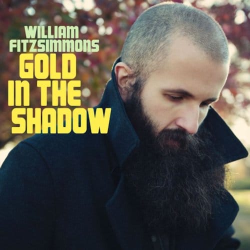 Gold In The Shadow - William Fitzsimmons