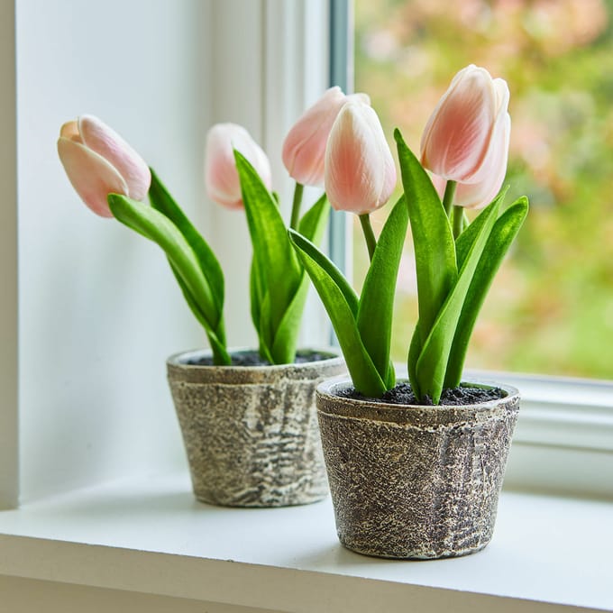 LOBERON Siertulpen set van 2 Zéphine roze