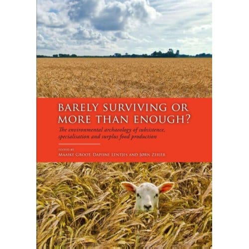 Barely Surviving Or More Than Enough?
