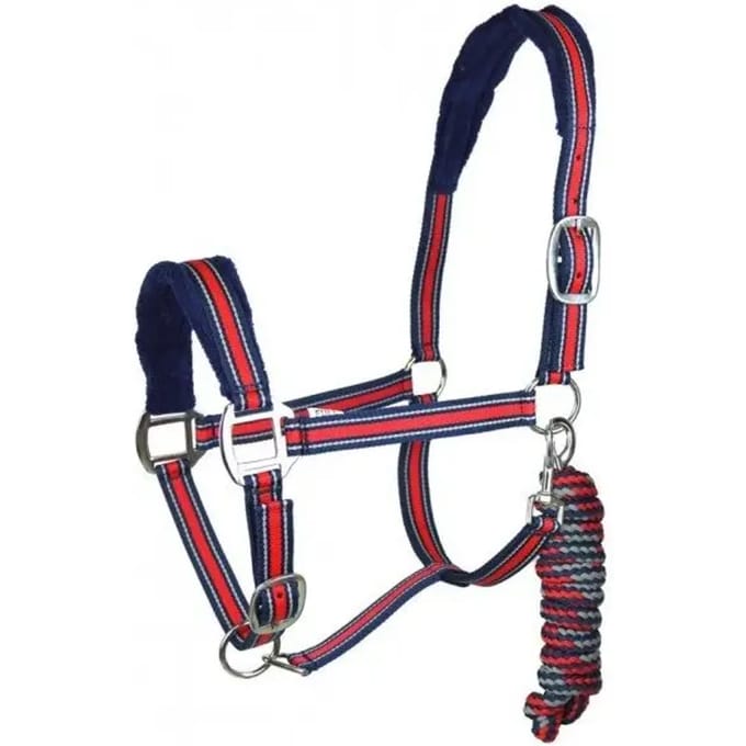 Halster en touwset voor paarden York Calipso