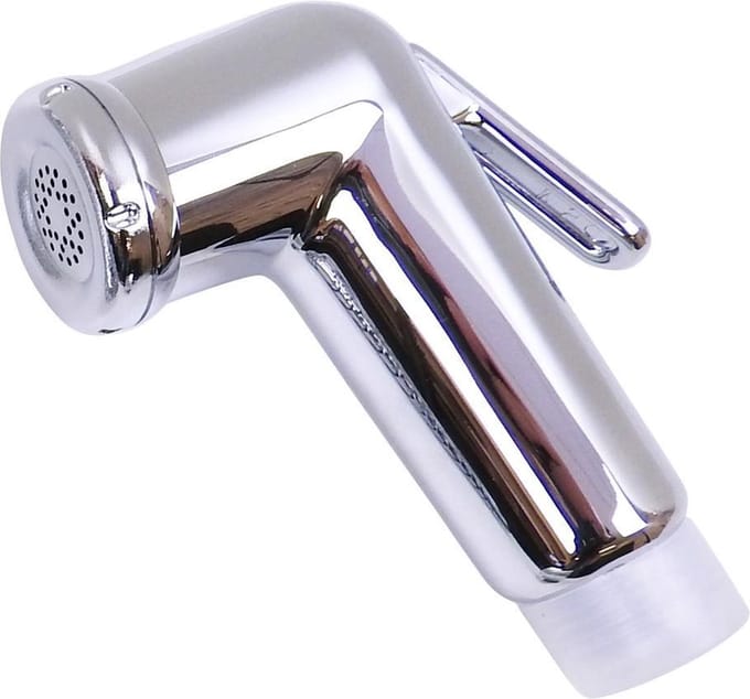 WillieJan Knijp handdouche A1201 – Verchroomd ABS
