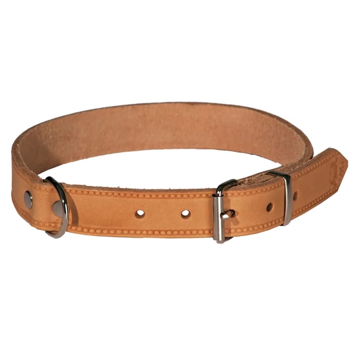 Gev rivet hondenhalsband van leer Akah