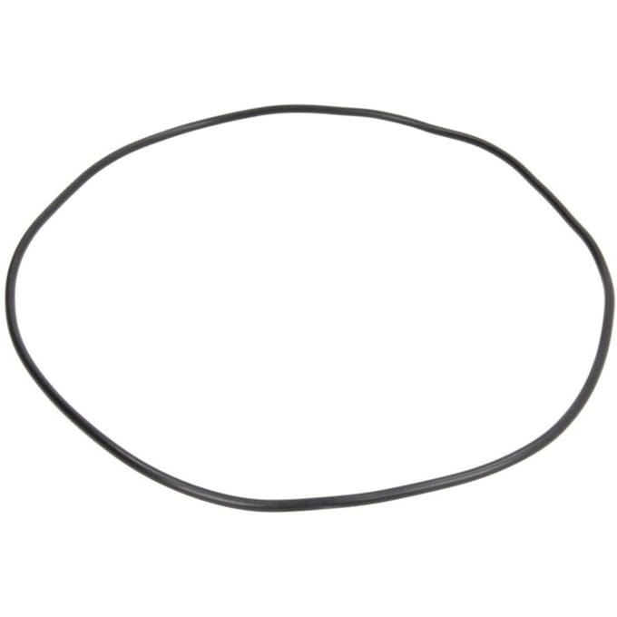 Versnellingsbak O-ring ZF 0634313999ZF