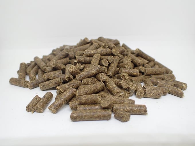 BoGi Voeders 052 Schapenkorrel - 20 kg - schapenvoer