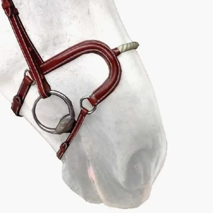 Neusriem cheval touw Silver Crown H