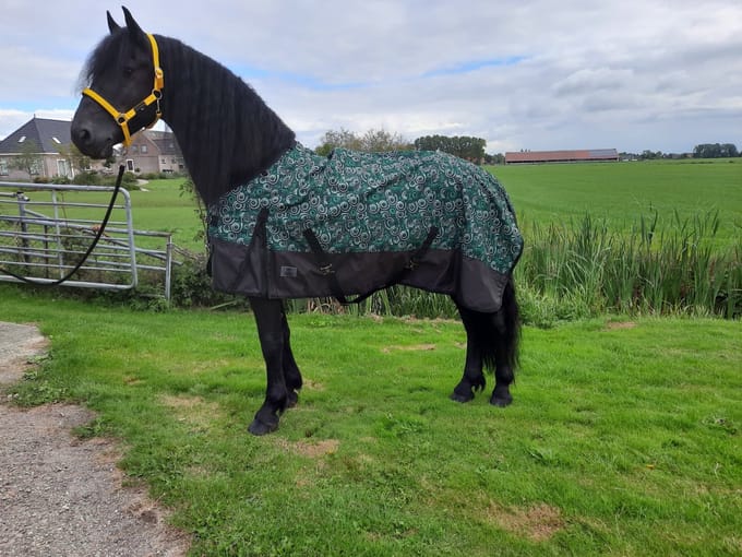 Regendeken luxe 100gram Green/swirl Buitendeken-215