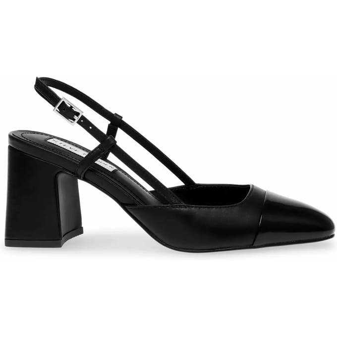 Damesschoenen Steve Madden Zeina
