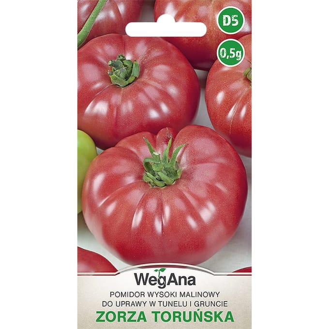 Tomate Zorza Toruńska 0,5g graines de tomates GROS FRUITS - WegAna