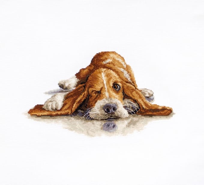 Borduurpakket basset om te borduren van Luca-s b2341