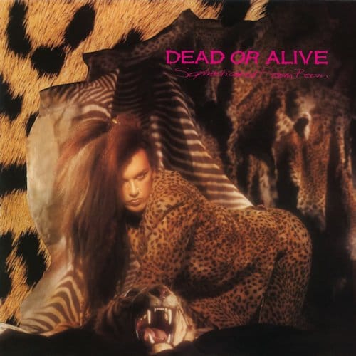 Sophisticated Boom Boom+7 - Dead Or Alive