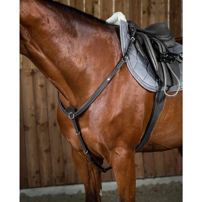 Jachthalsband voor paarden Dy'on