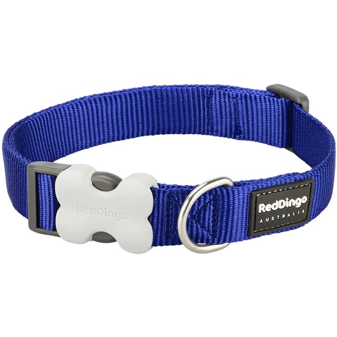 Red Dingo Halsband Hond 25mm x 41-64cm DC-ZZ-DB-25