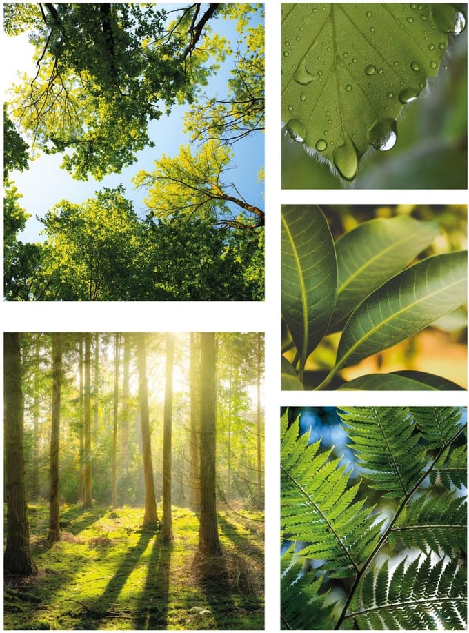 Art for the Home groene Stilte Canvas Set van 5 80x60 cm