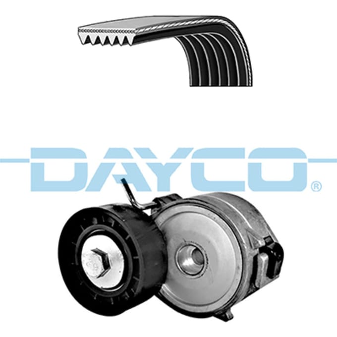 Poly V-riem set DAYCO KPV419