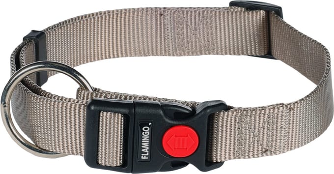 Hond Halsband Ziggi Greige L 45-65cm 25mm