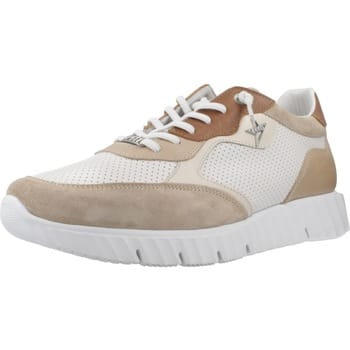CETTI C1384 Bruin 43 EU