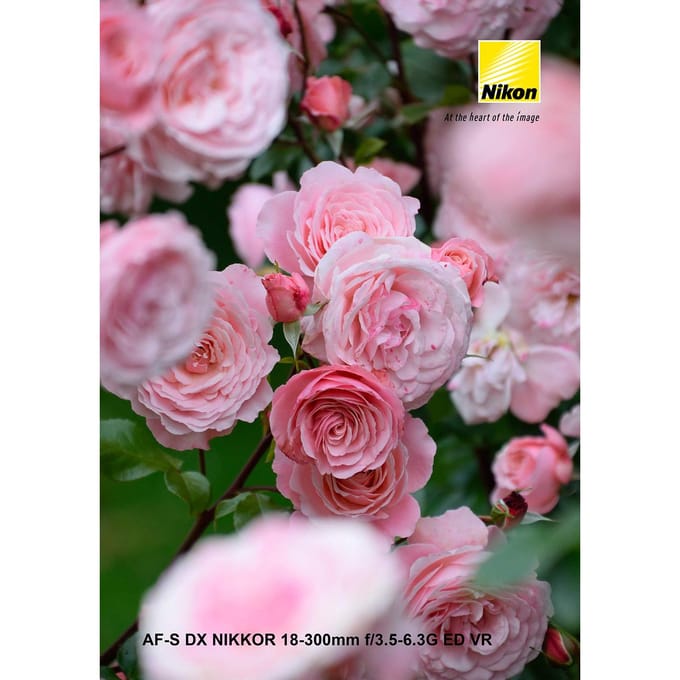AF-S DX NIKKOR 18-300mm f/3.5-6.3G ED VR