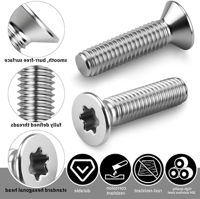 Solidchoice - Set van 50 RVS Schroeven met Torx Aandrijving M4 x 10 mm