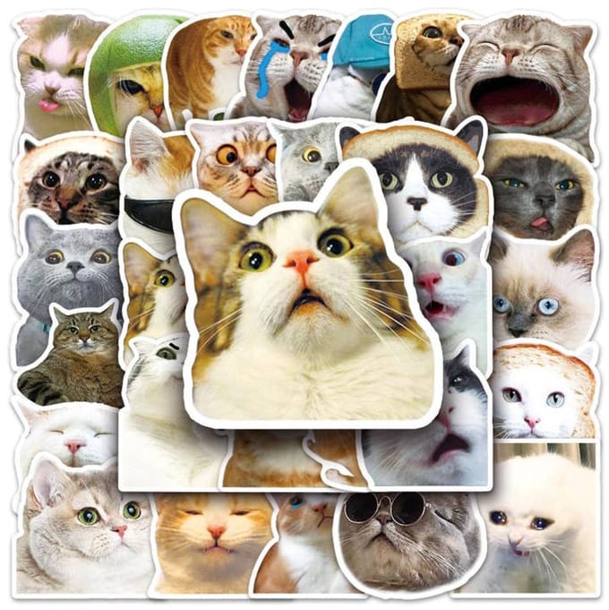 Dailygoods- Kattenstickers 50 stuks - Grappige Stickers - Waterdichte