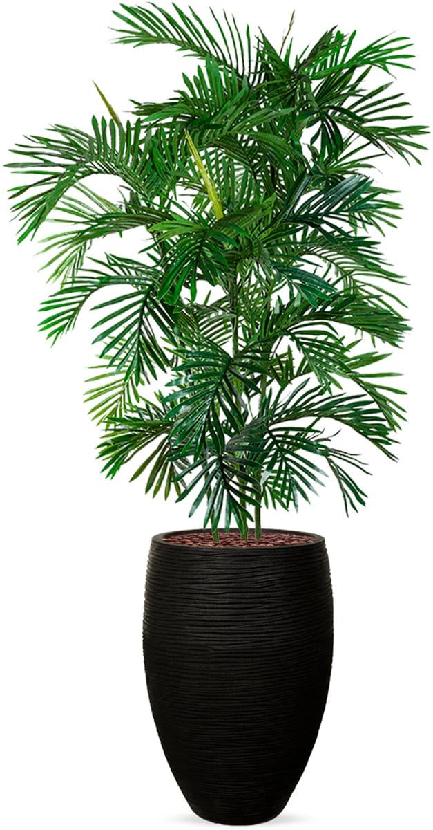 Kunstplant Arecapalm in Vaas elegant Deluxe rib zwart H215 cm