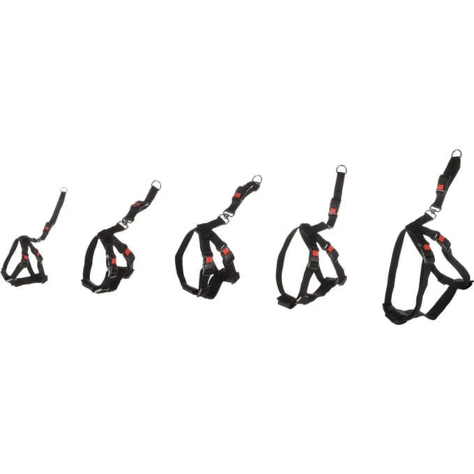 Flamingo hondentuigje auto harnas maat M - Zwart 40-60cm