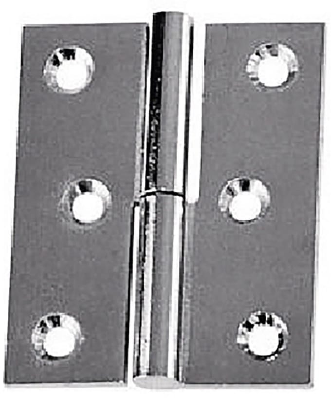 Plastimo Messing Verchroomd Rechts Scharnier 2 Eenheden Zilver 60 x 40 mm