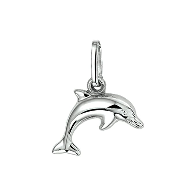 Glanzende Dolfijn Hanger van Gerhodineerd Zilver