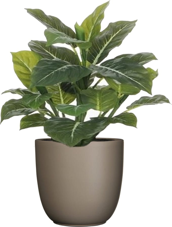 Mica Decorations Kunstplant Philodendron - groen - 49 cm - in bloempot - beige - D14.5 cm - complete set