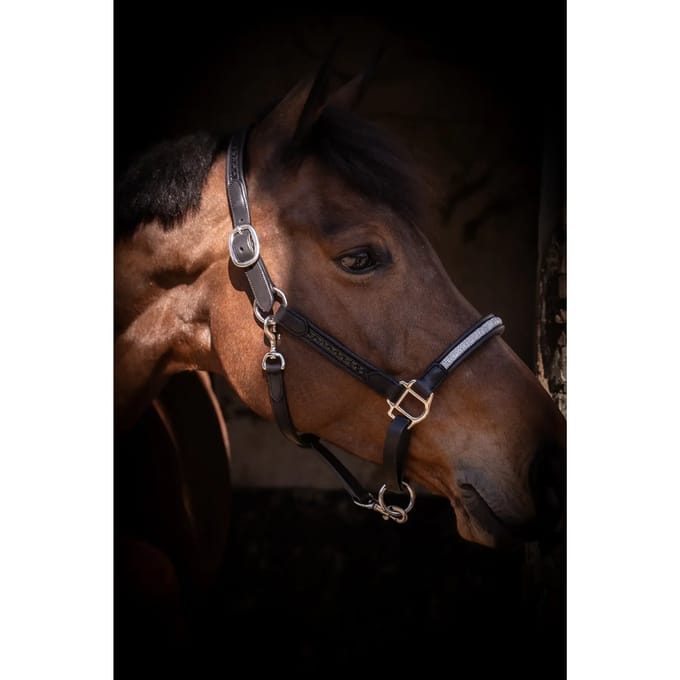 Leren halster voor paarden Pénélope Harmonie