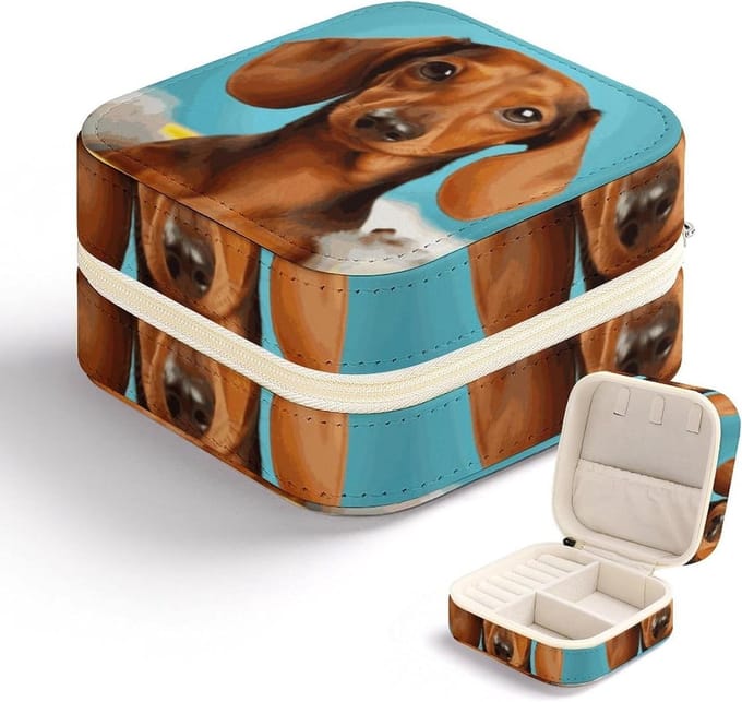 Sieraden etui - Sieraden houder - Reizen en opbergen - Compact multifunctioneel ontwerp - 10.7 x 10.2 x 6.1 cm
