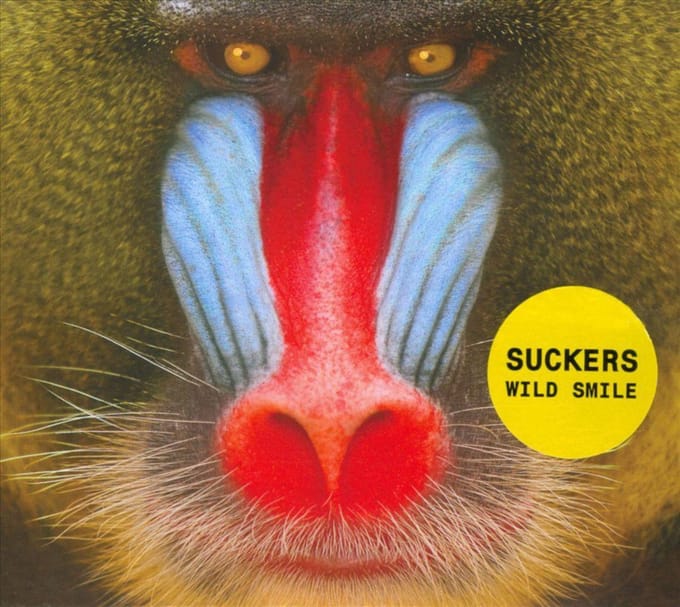 Wild Smile - Suckers