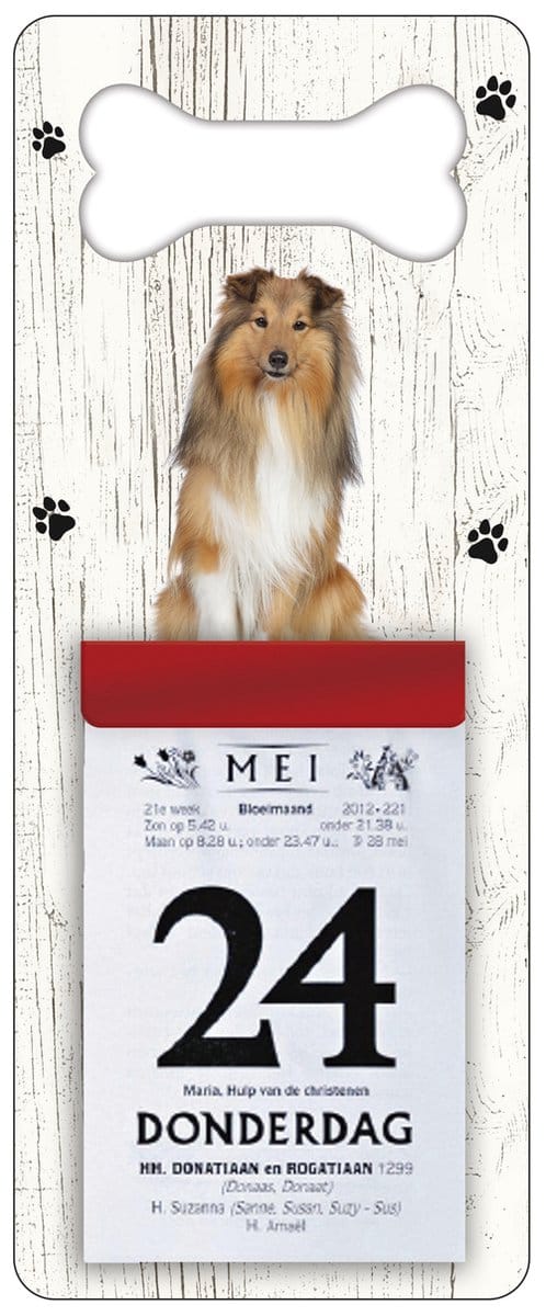 Scheurkalender 2027 Hond: Shetland Scheepdog(Sheltie)