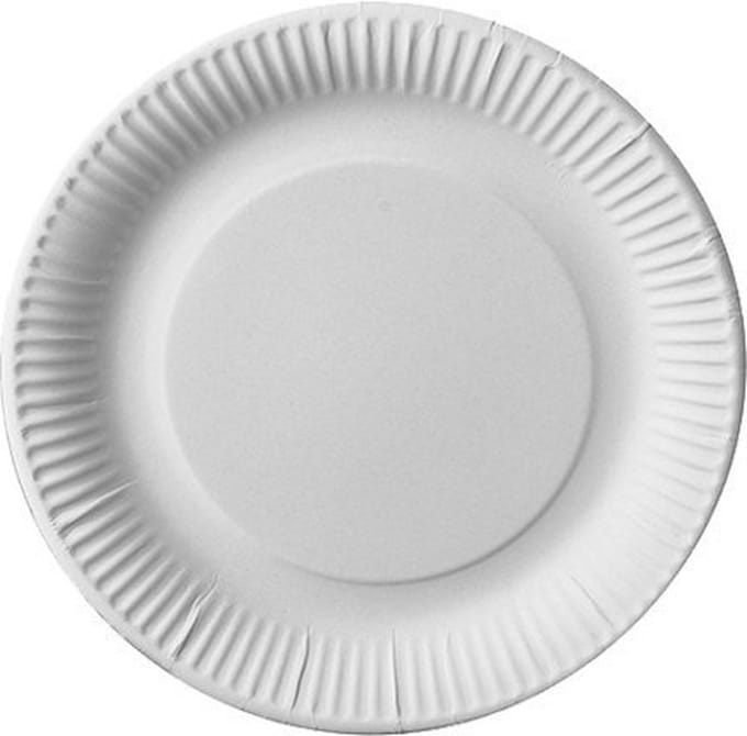 50 wegwerpborden 23cm