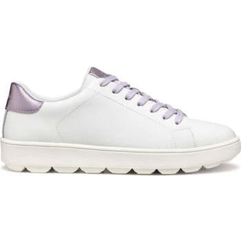 Lage Sneakers Geox -