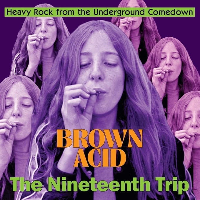 Various Artists - Brown Acid: The Nineteenth Trip (CD)