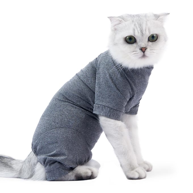 Costume de récupération pour animaux de compagnie, veste à quatre pattes pour plaies abdominales pour chats Medium gris