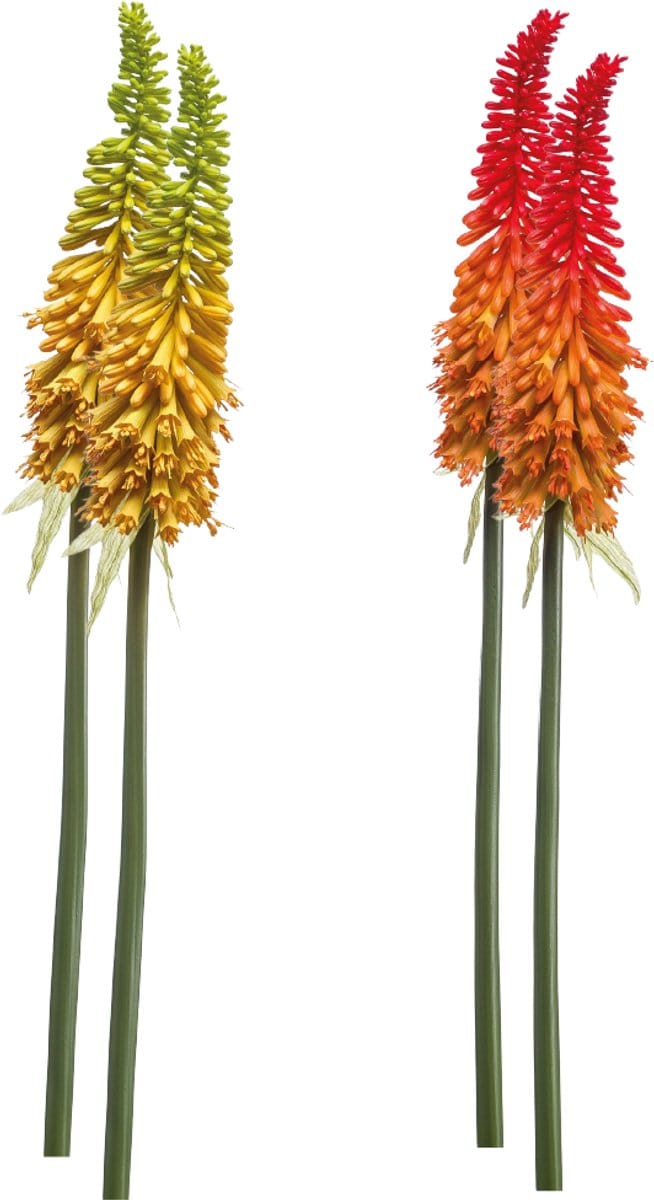 Emerald - Kunstbloem Kniphofia 85cm - Set van 4 - Kunstplant voor binnen