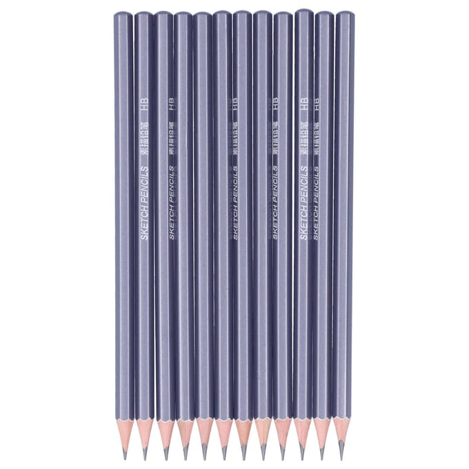 12 Pièces Crayons Graphite Crayons Professionnels Durs Set de Dessin pour Croquis Graffiti Design gray
