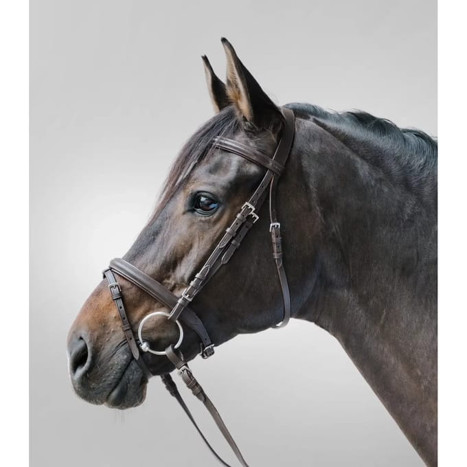 Combiné hoofdstel met neusriem Star Lifestyle