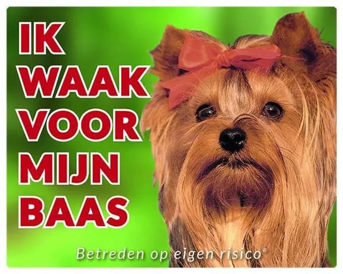 Yorkshire Terrier Waakbord - Ik waak voor mijn baas