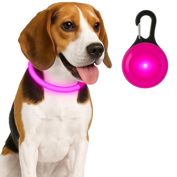Professor Q - Led Halsband Roze S & Honden Lampje Roze Set