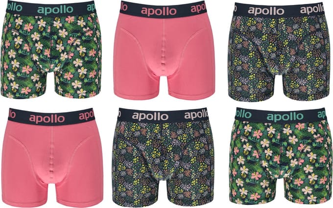 Apollo katoenen heren boxershorts - 6pack - maat L