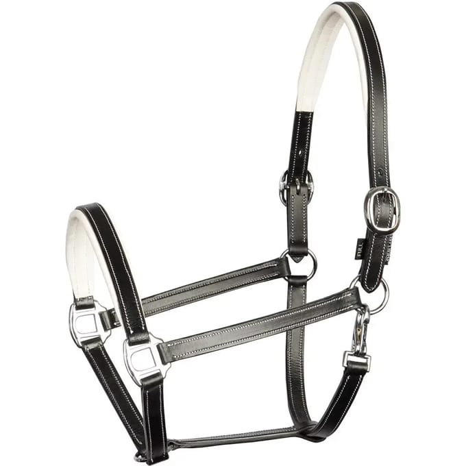 Lederen halster voor paarden Harry's Horse Elegance
