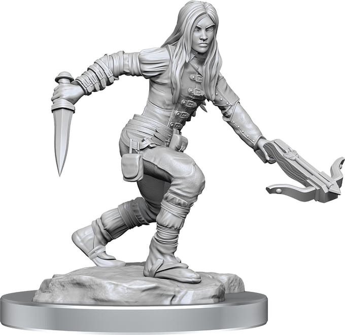 D&D Nolzur's Marvelous Miniatures Half-Elf Rogues Female 2