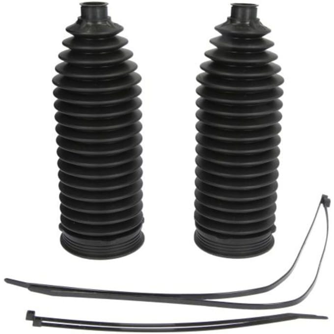 Set balgen, stuurinrichting DELPHI TBR4254