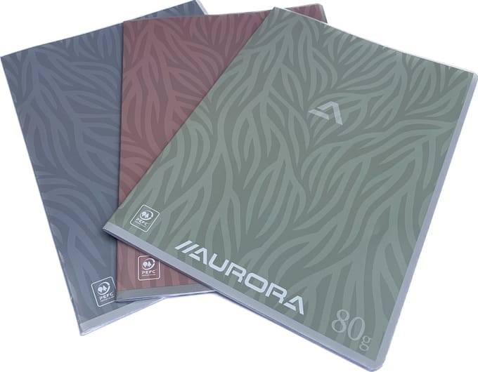 Schriften Avino's A4 ruit 10 mm per 10 stuks assortiment