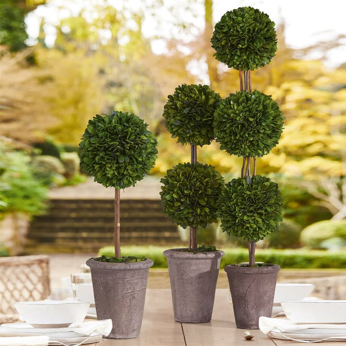 LOBERON Sierboom set van 3 Dunjes groen
