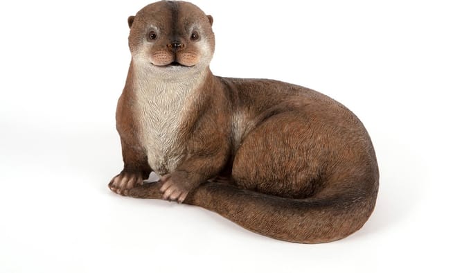 Otter Pup