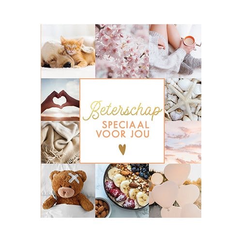 Beterschap
