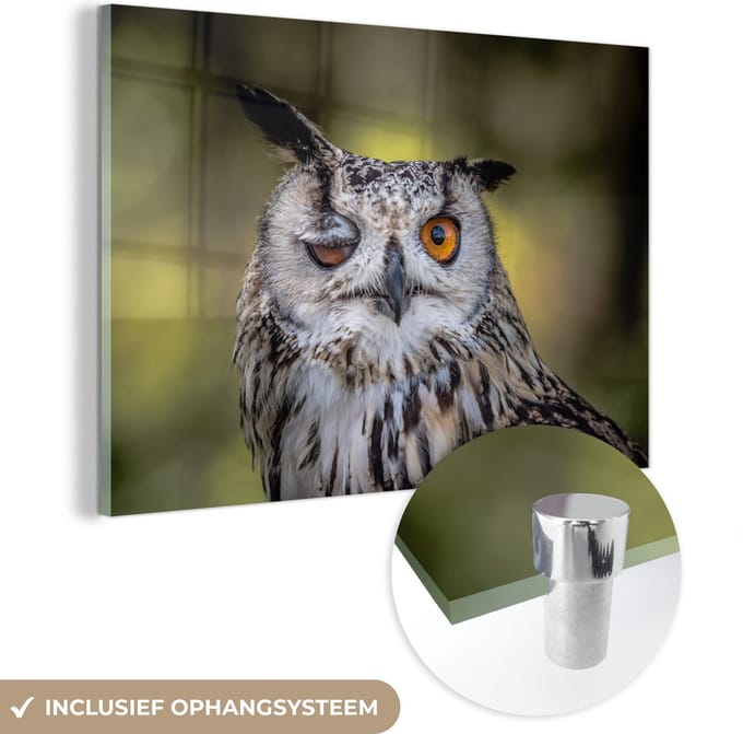MuchoWow® Glasschilderij 180x120 cm - Schilderij acrylglas - Uil - Oog - Oranje - Foto op glas - Schilderijen